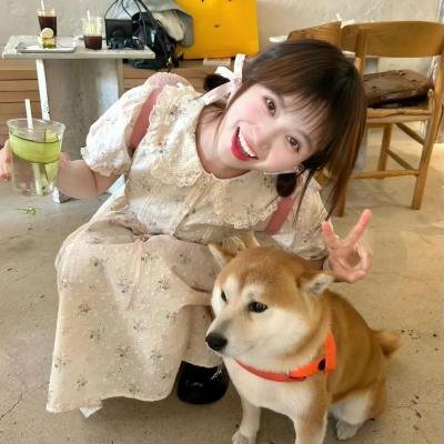 小太阳的梦想封面
